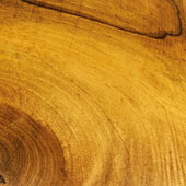 Auf dem Bild ist ein Ausschnitt einer Holzkugel mit starker Maserung zu sehen.